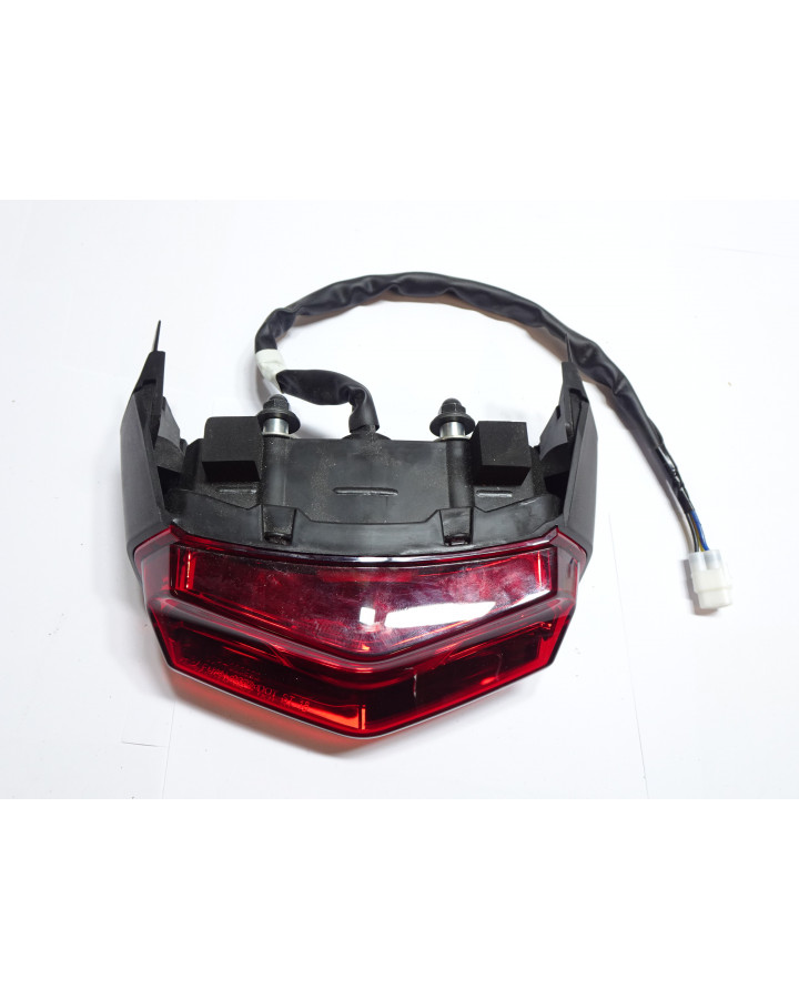 Yamaha Tenere 700, baklykta