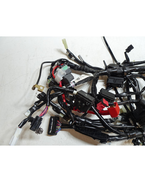 Yamaha Tenere 700, kabelhärva 2