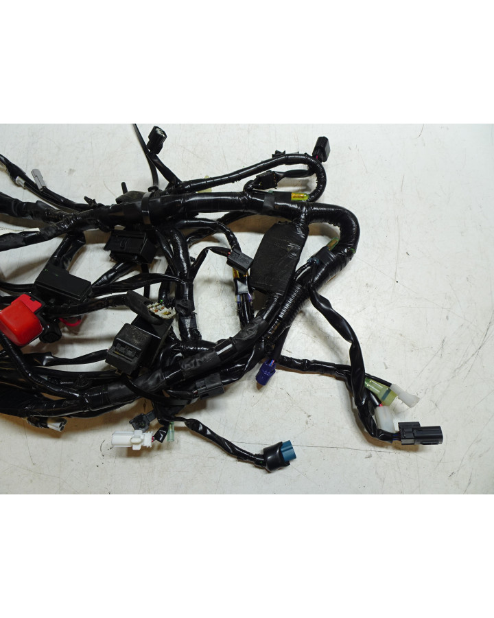 Yamaha Tenere 700, kabelhärva