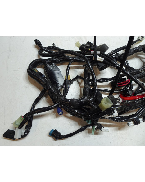 Yamaha Tenere 700, kabelhärva