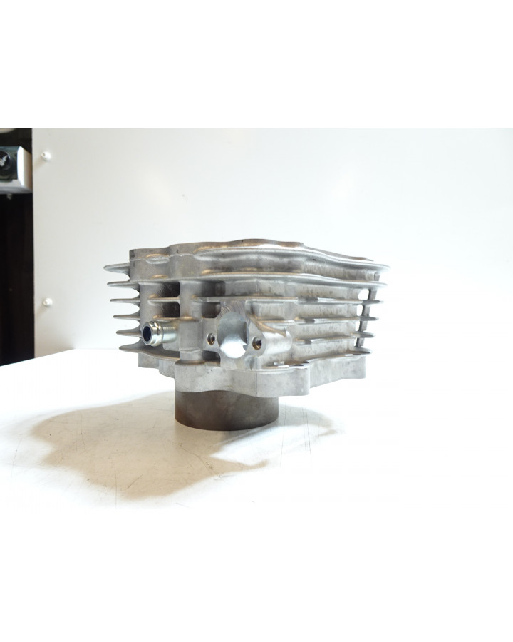 Adly ATV 300, cylinder