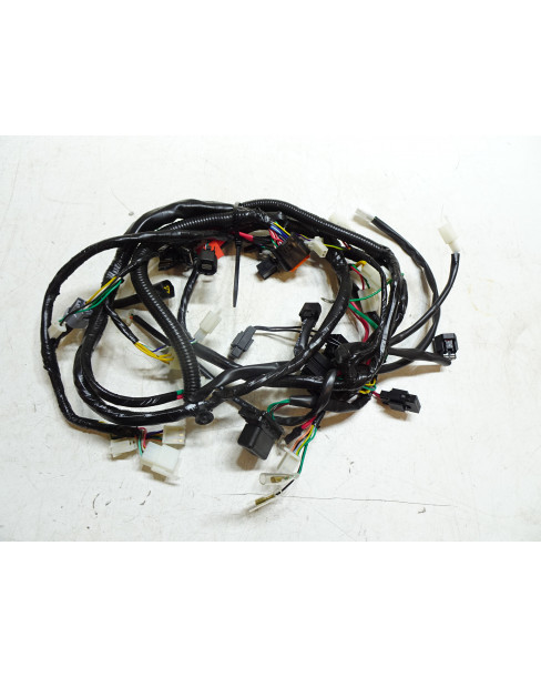 Peugeot Speedfight 4, kabelhärva 2