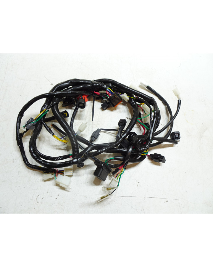 Peugeot Speedfight 4, kabelhärva