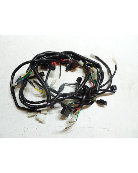 Peugeot Speedfight 4, kabelhärva