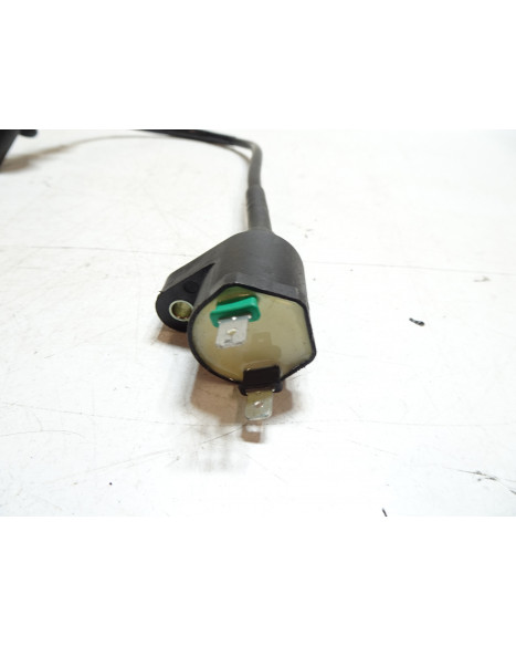 Baotian Classic, tändspole