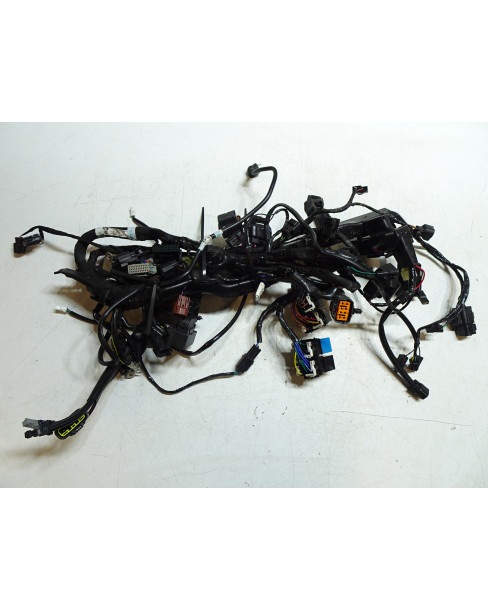 Triumph Street Triple, kabelhärva 2