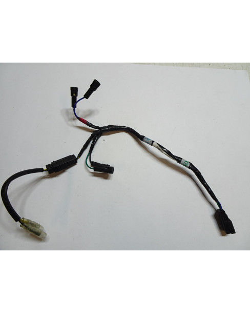 Triumph Street Triple, bakre kabelhärva 2