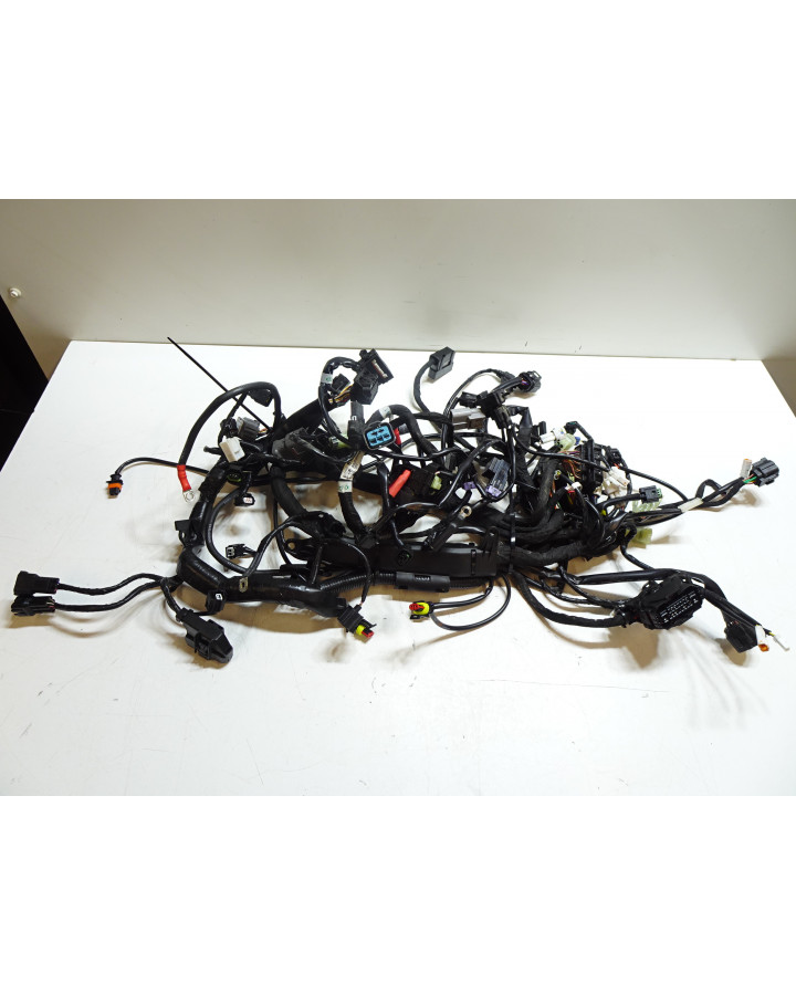 KTM 1290 Super Duke GT, kabelhärva