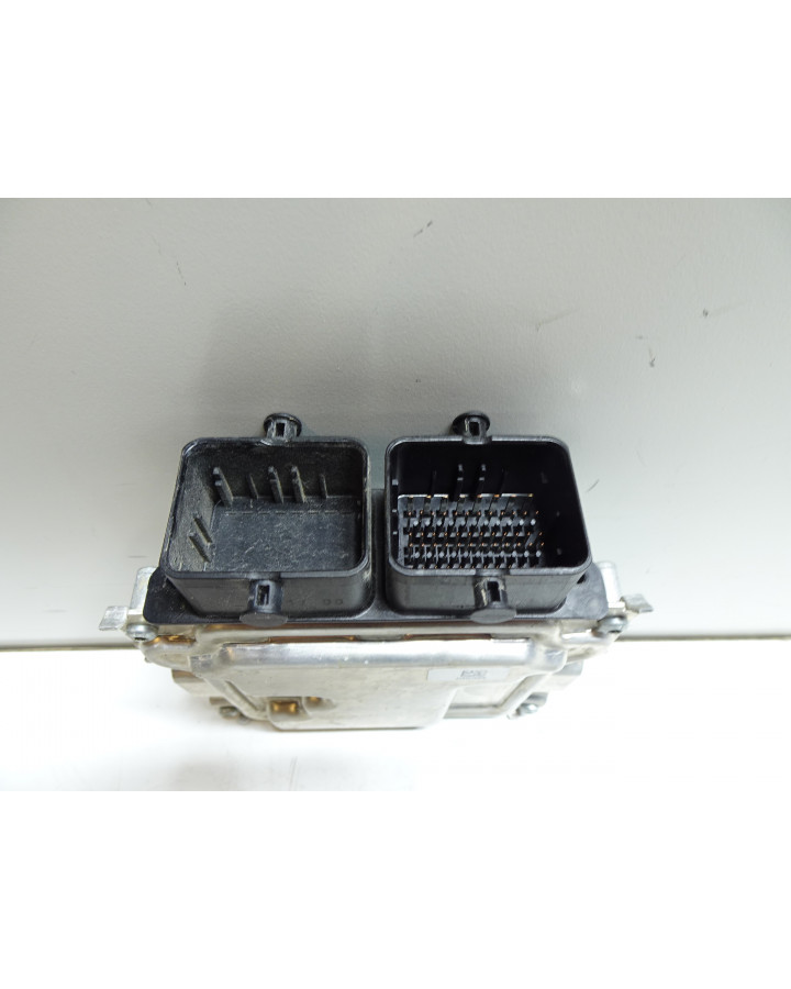 Polaris Sportsman XP 1000, ECU/ECM