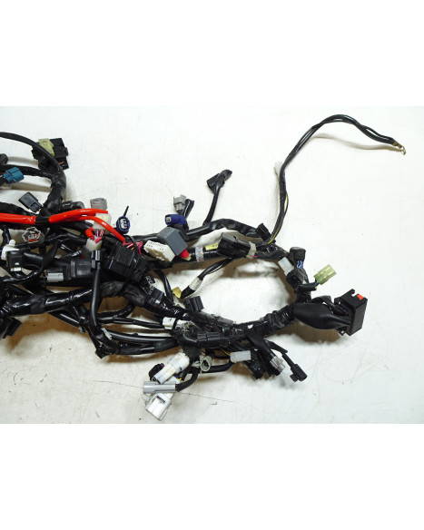 Yamaha MT-09, kabelhärva