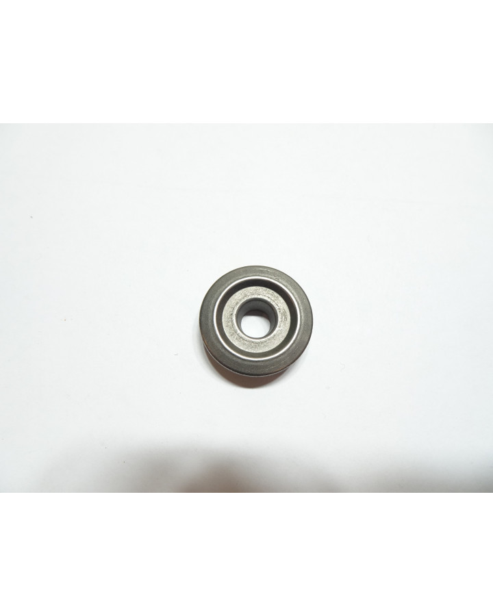 Adly ATV, hållare ventilfjäder 300