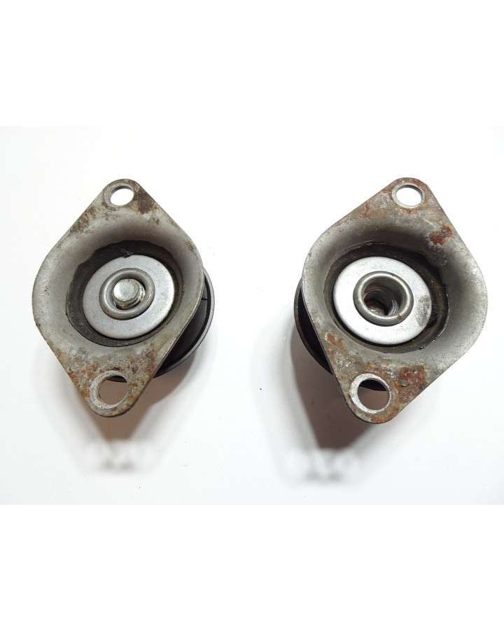 Aixam Scouty, motorkuddar