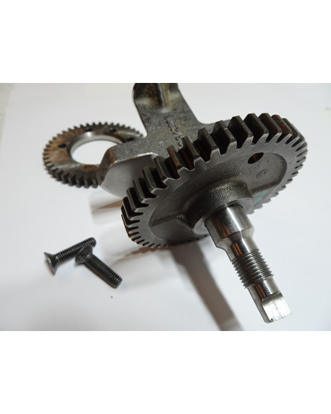 Gilera Fuoco 500, balansaxel