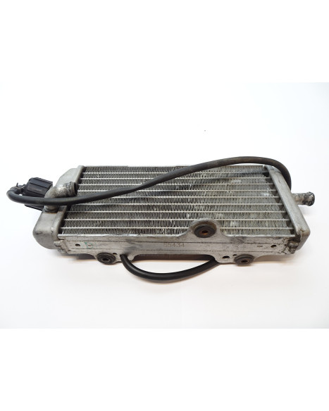 Yamaha DT50R, kylare