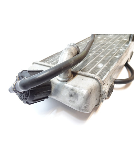 Yamaha DT50R, kylare