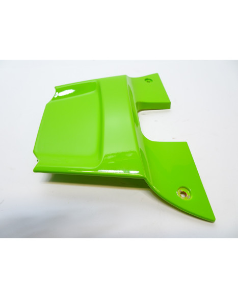 Piaggio NRG, bakre mittkåpa