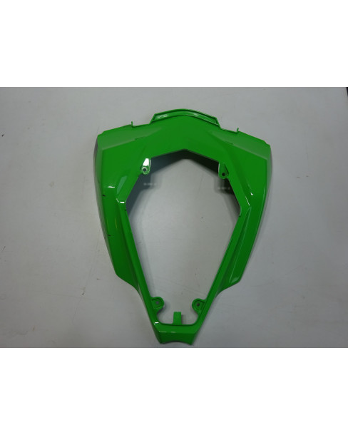 Kawasaki ZX10R, bakskärm