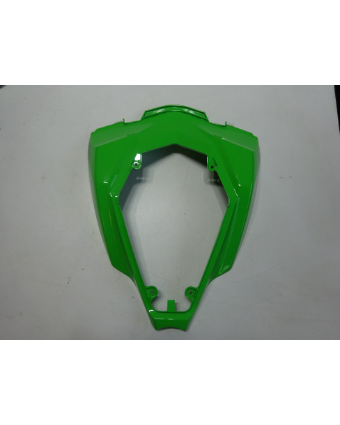 Kawasaki ZX10R, bakskärm