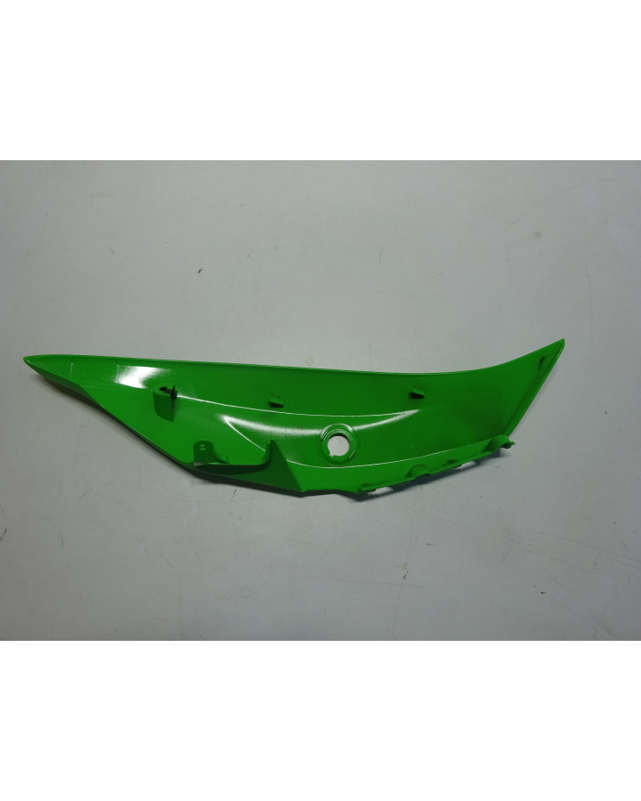 Kawasaki ZX-10R, bakre sidokåpa vänster
