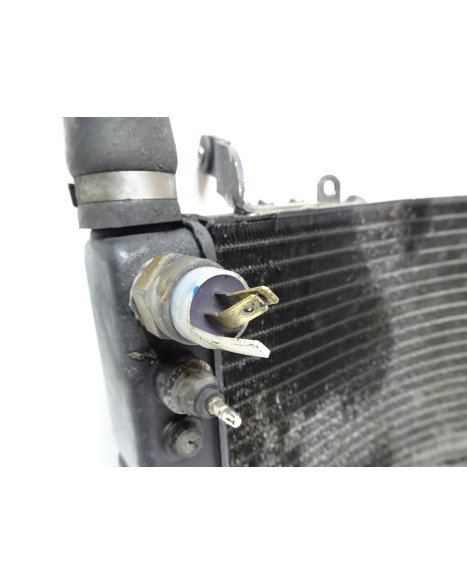 Yamaha YZF1000R Thunderace, kylare