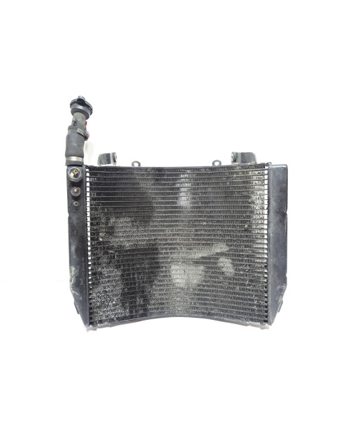 Yamaha YZF1000R Thunderace, kylare 2