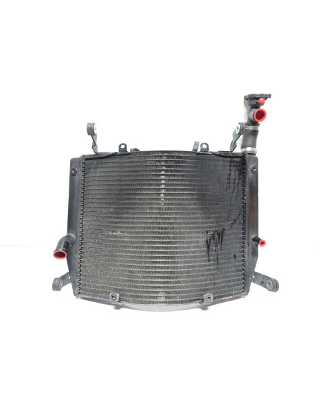 Yamaha YZF1000R Thunderace, kylare