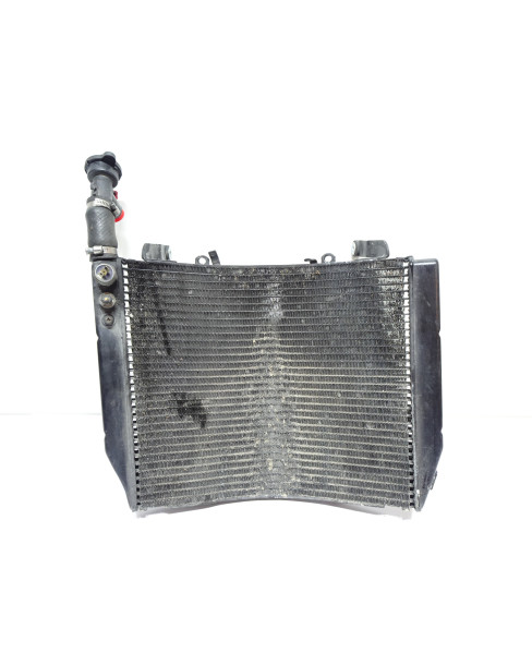 Yamaha YZF1000R Thunderace, kylare 2