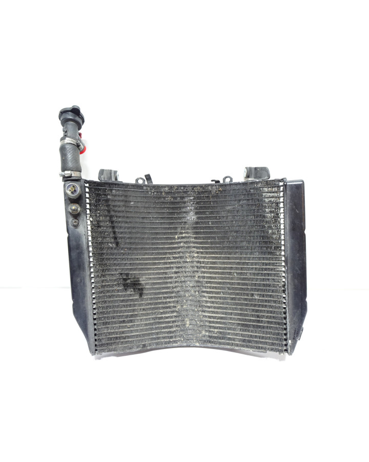 Yamaha YZF1000R Thunderace, kylare