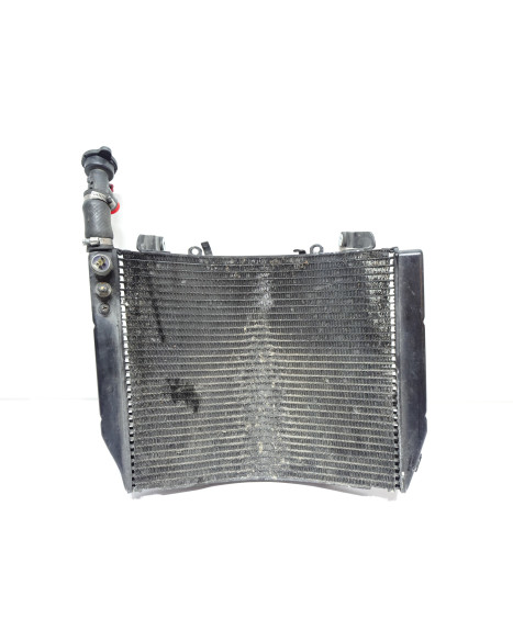 Yamaha YZF1000R Thunderace, kylare