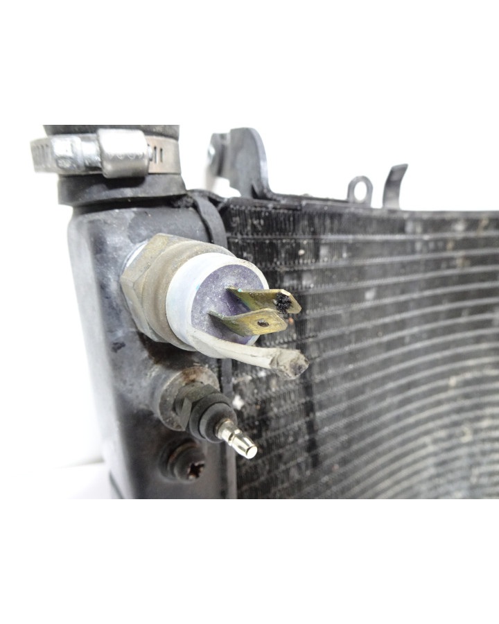 Yamaha YZF1000R Thunderace, kylare