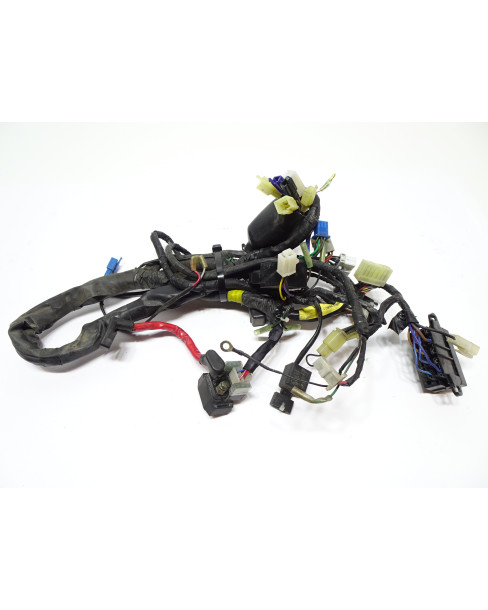 Yamaha YZF1000R Thunderace, kabelhärva 2