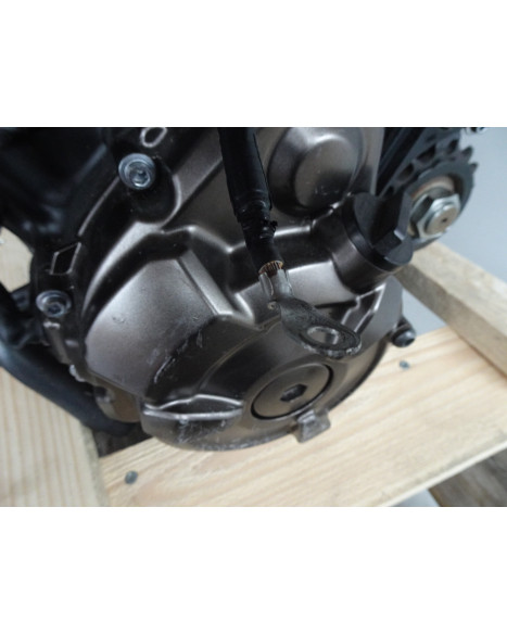 Yamaha XSR700/MT-07, motor