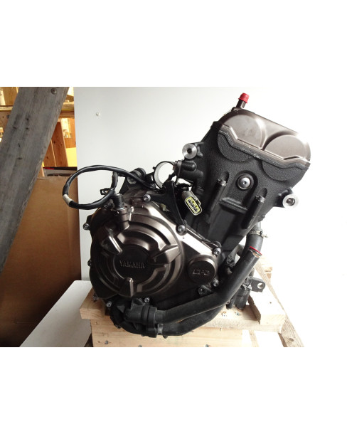 Yamaha XSR700/MT-07, motor 2