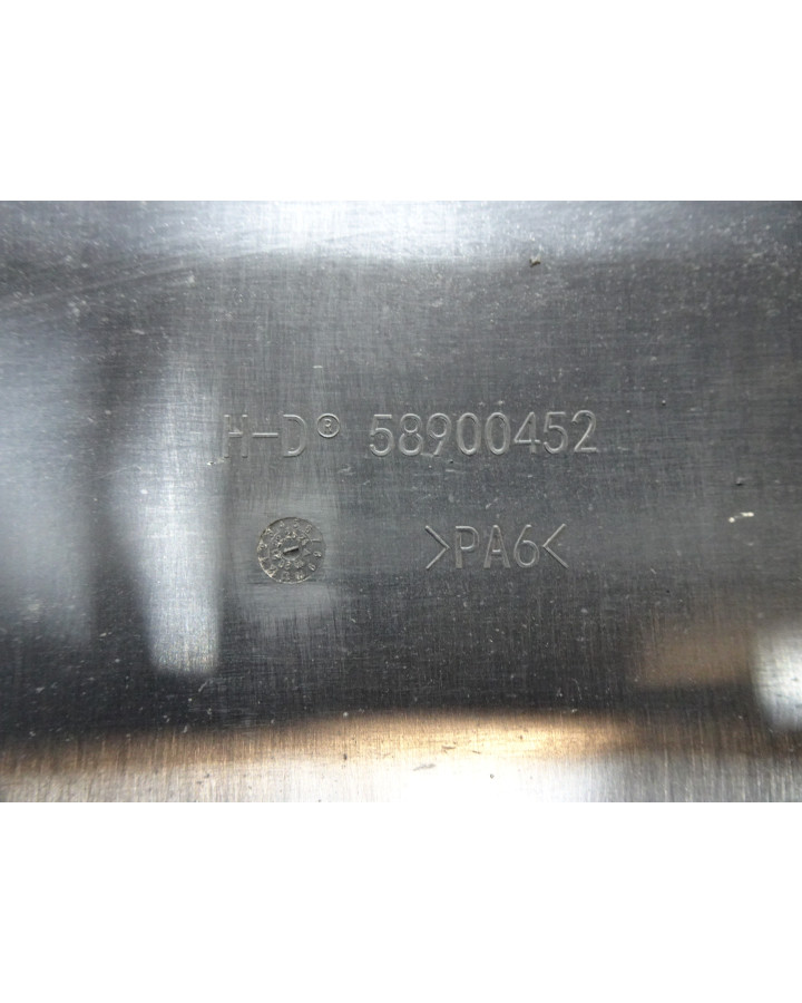 Harley-Davidson Sportster S 1250, framskärm