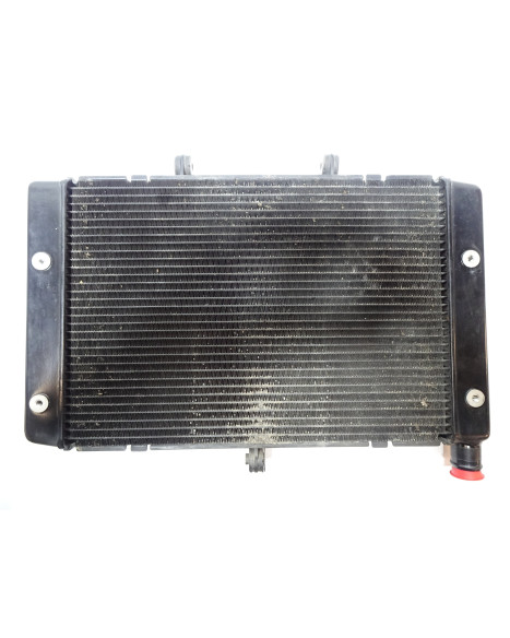 Honda CB1000R, kylare