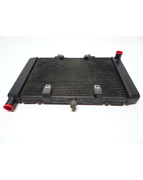 Honda CB1000R, kylare