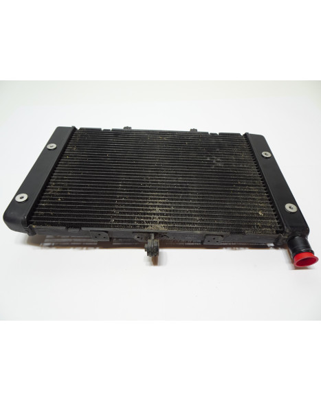 Honda CB1000R, kylare