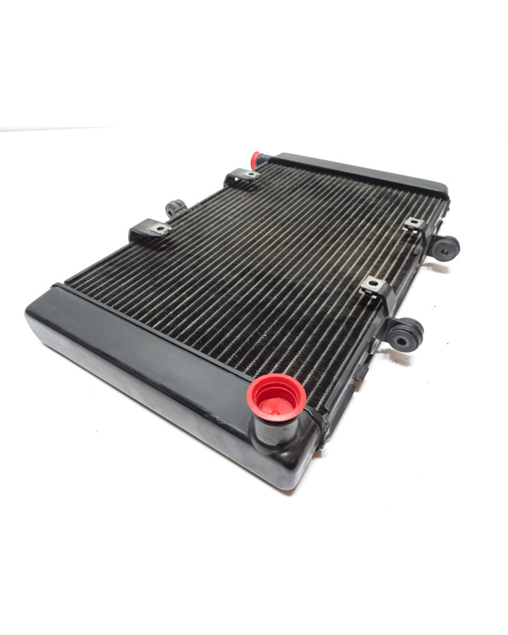 Honda CB1000R, kylare