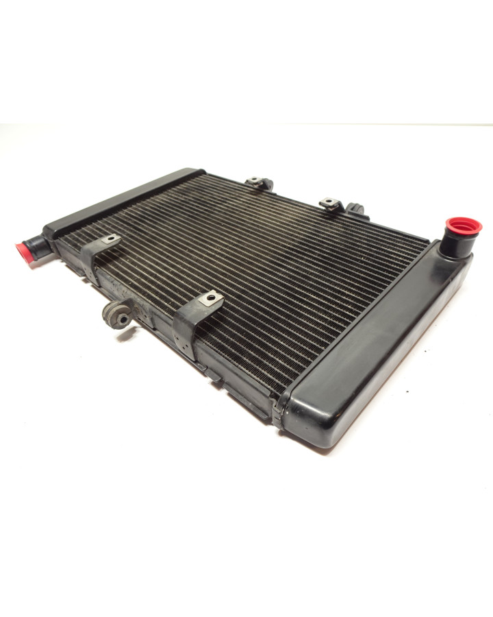 Honda CB1000R, kylare