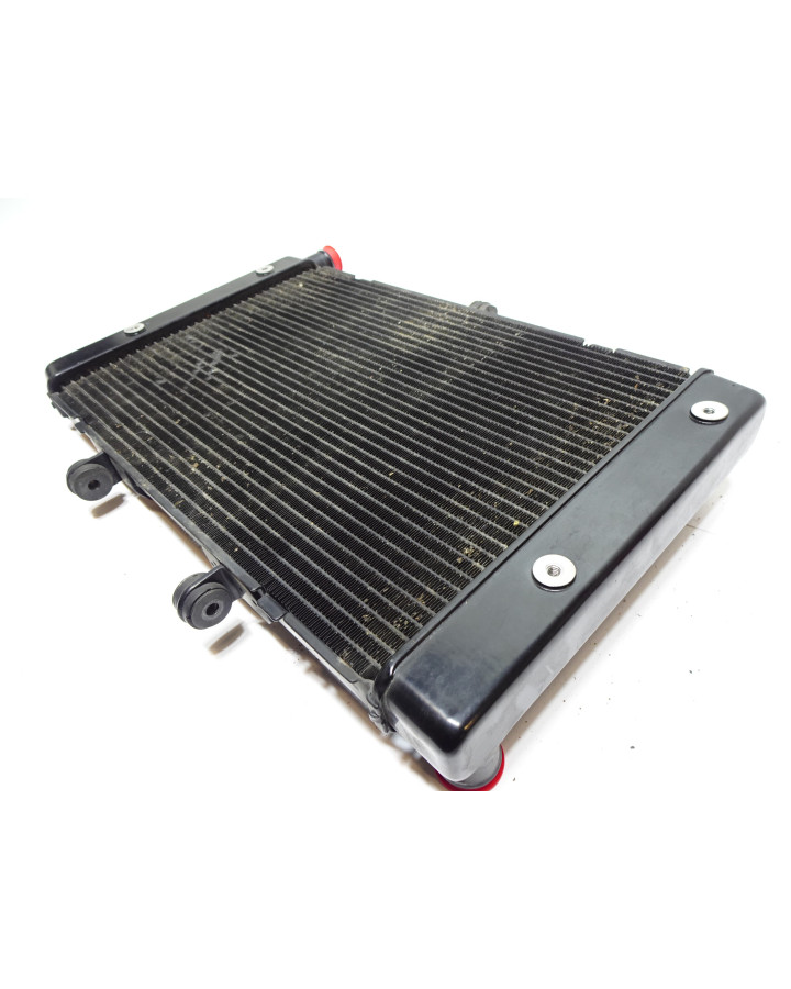 Honda CB1000R, kylare