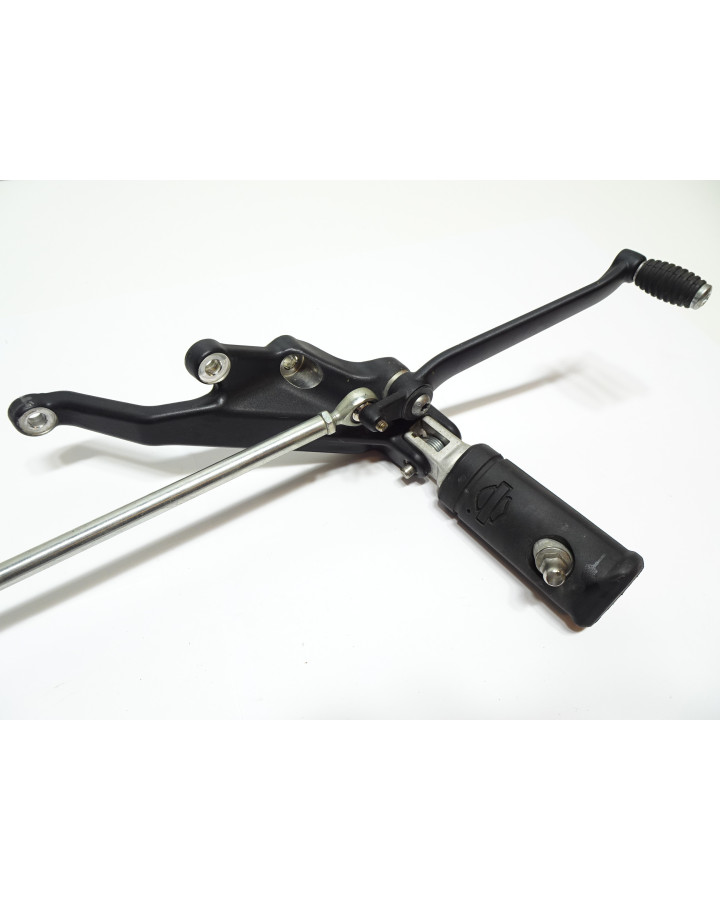 Harley-Davidson Sportster S 1250, fotpinne...