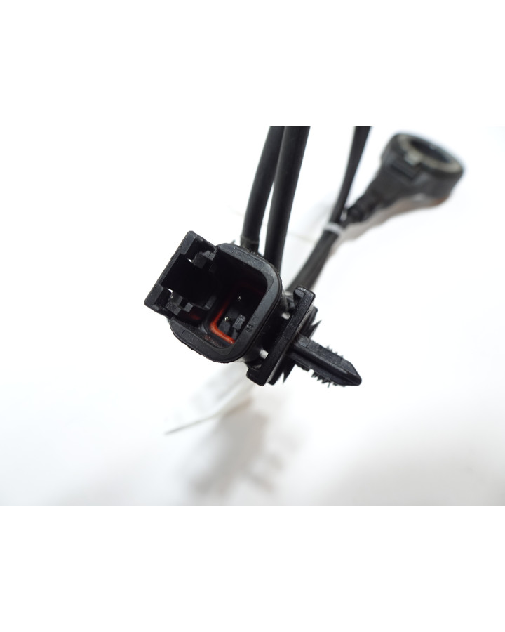 Harley-Davidson Sportster S 1250, ABS-givare bak