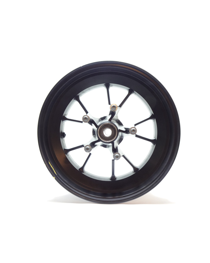 Harley-Davidson Sportster S 1250, bakfälg