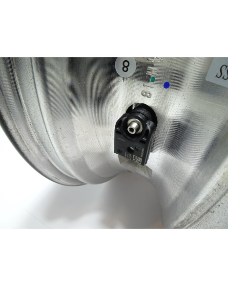 Harley-Davidson Sportster S 1250, bakfälg