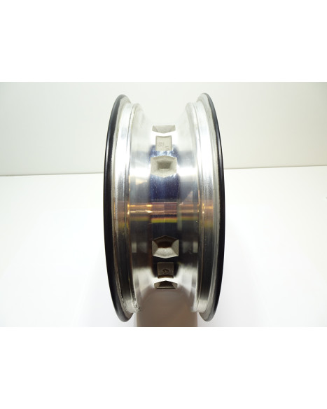 Harley-Davidson Sportster S 1250, bakfälg