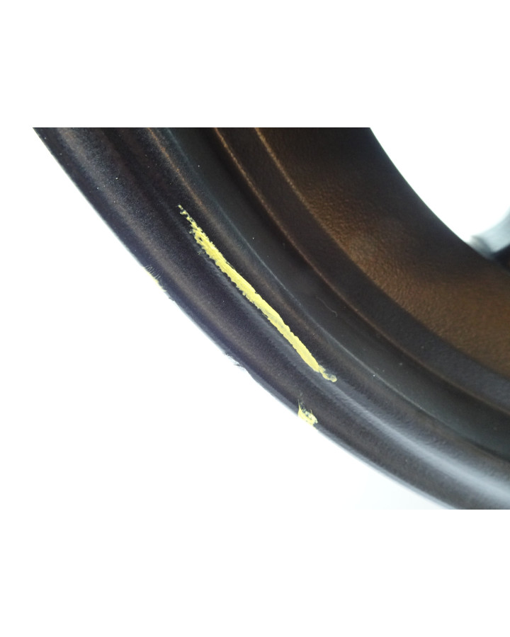 Harley-Davidson Sportster S 1250, bakfälg