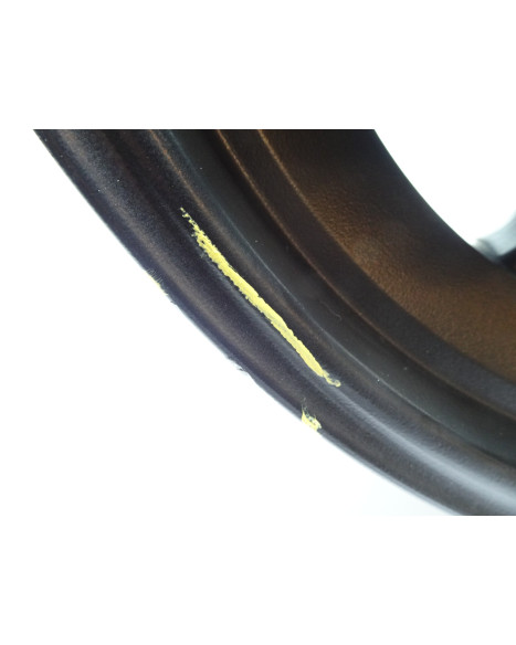 Harley-Davidson Sportster S 1250, bakfälg