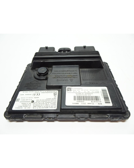 Harley-Davidson Sportster S 1250, BCM