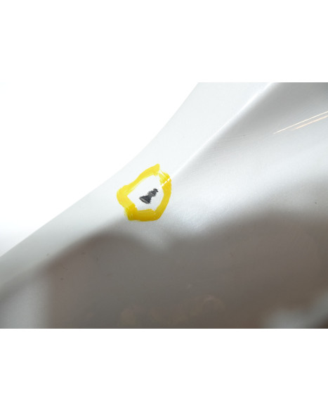 Harley-Davidson Sportster S 1250, bakre sidokåpa vänster