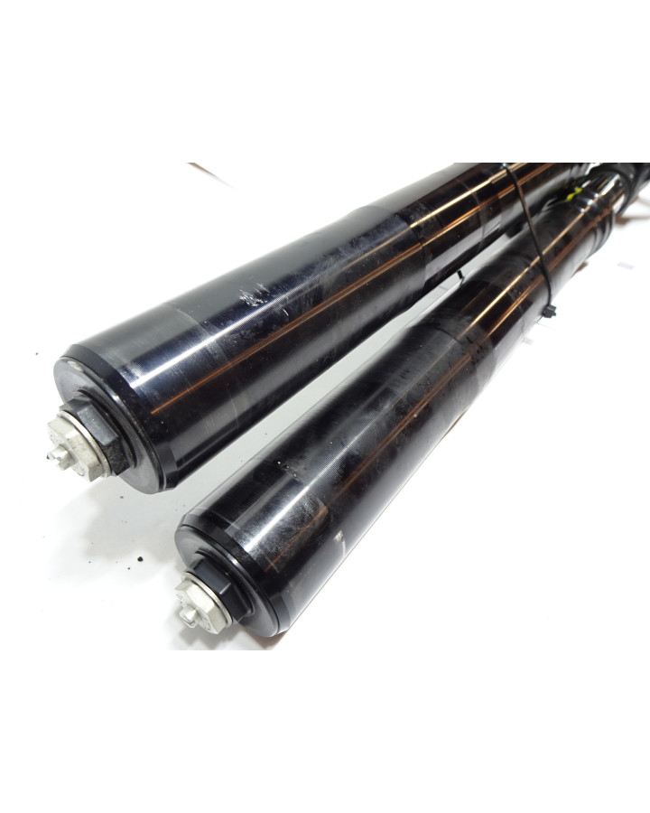 Harley-Davidson Sportster S 1250, gaffelben (par)